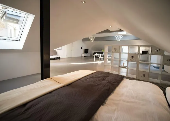 Atelier Maschinenhaus アパート マイゼンハイム