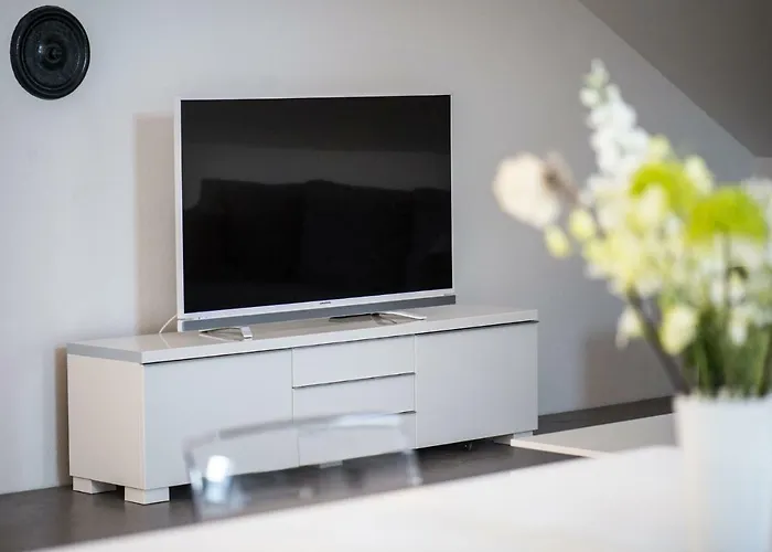 Atelier Maschinenhaus アパート マイゼンハイム